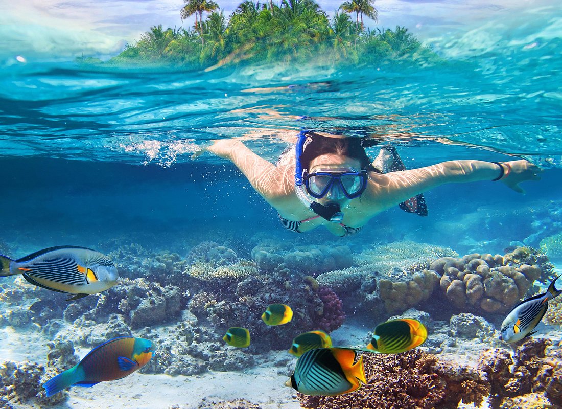 Image pour l'activité : Snorkeling