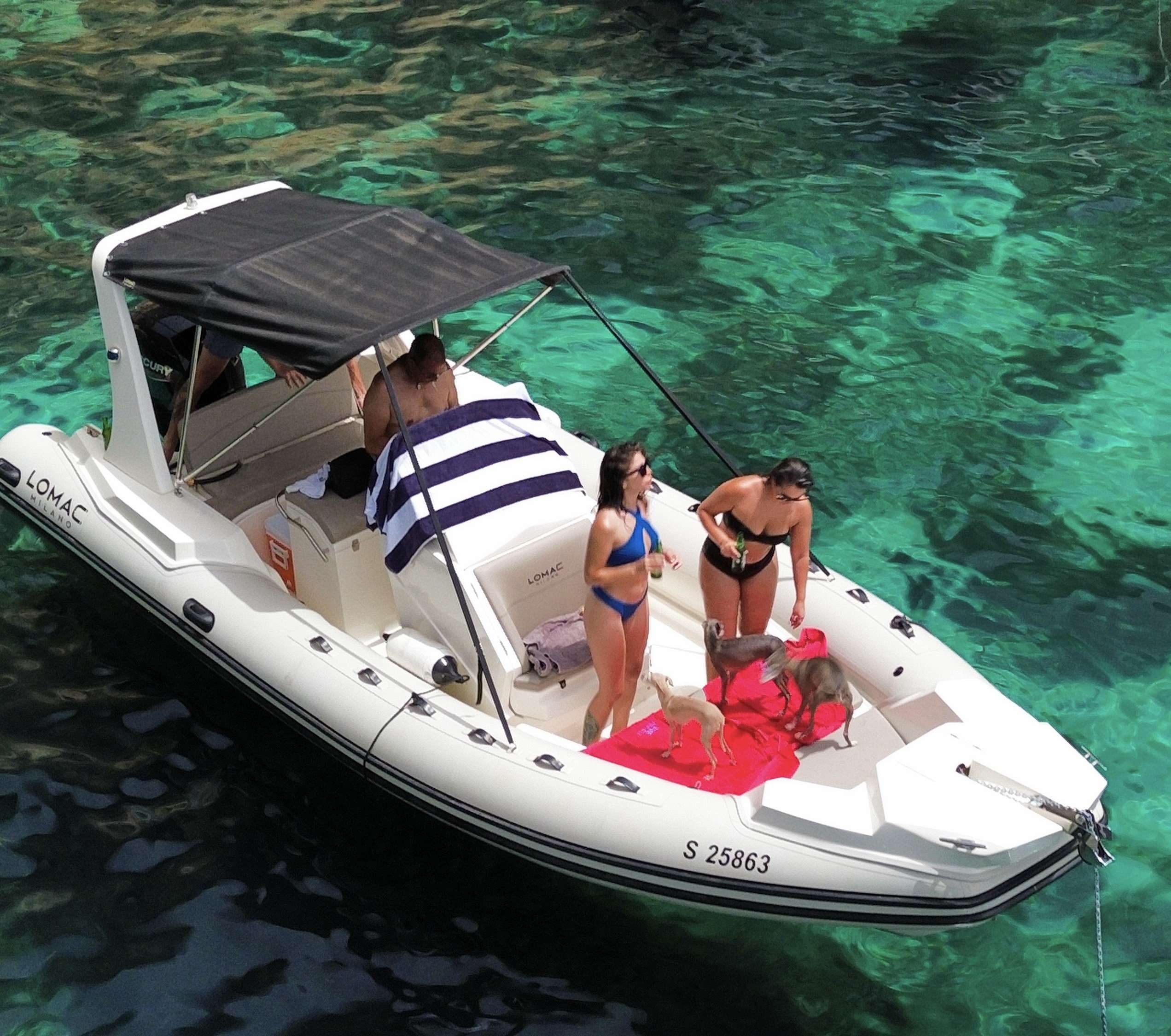 Image pour l'activité : Location RIB / Dinghy 50 HP (5 pers. - Demi-journée)